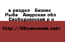  в раздел : Бизнес » Рыба . Амурская обл.,Свободненский р-н